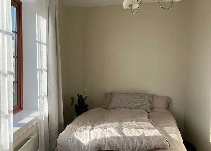 Newly Renovated - 15 Min From Center